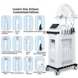 12 in 1 H2O2 Hydro Dermabrasion Skin Cleansing Oxygen Jet Peeling BIO Facial Machine
